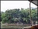 thailande625.jpg
