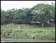 thailande635.jpg