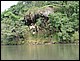 thailande644.jpg