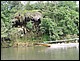 thailande645.jpg