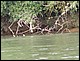 thailande647.jpg