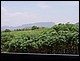 thailande693.jpg