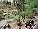 thailande730.jpg