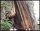 thailande789.jpg