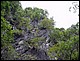 thailande808.jpg