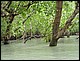 thailande823.jpg